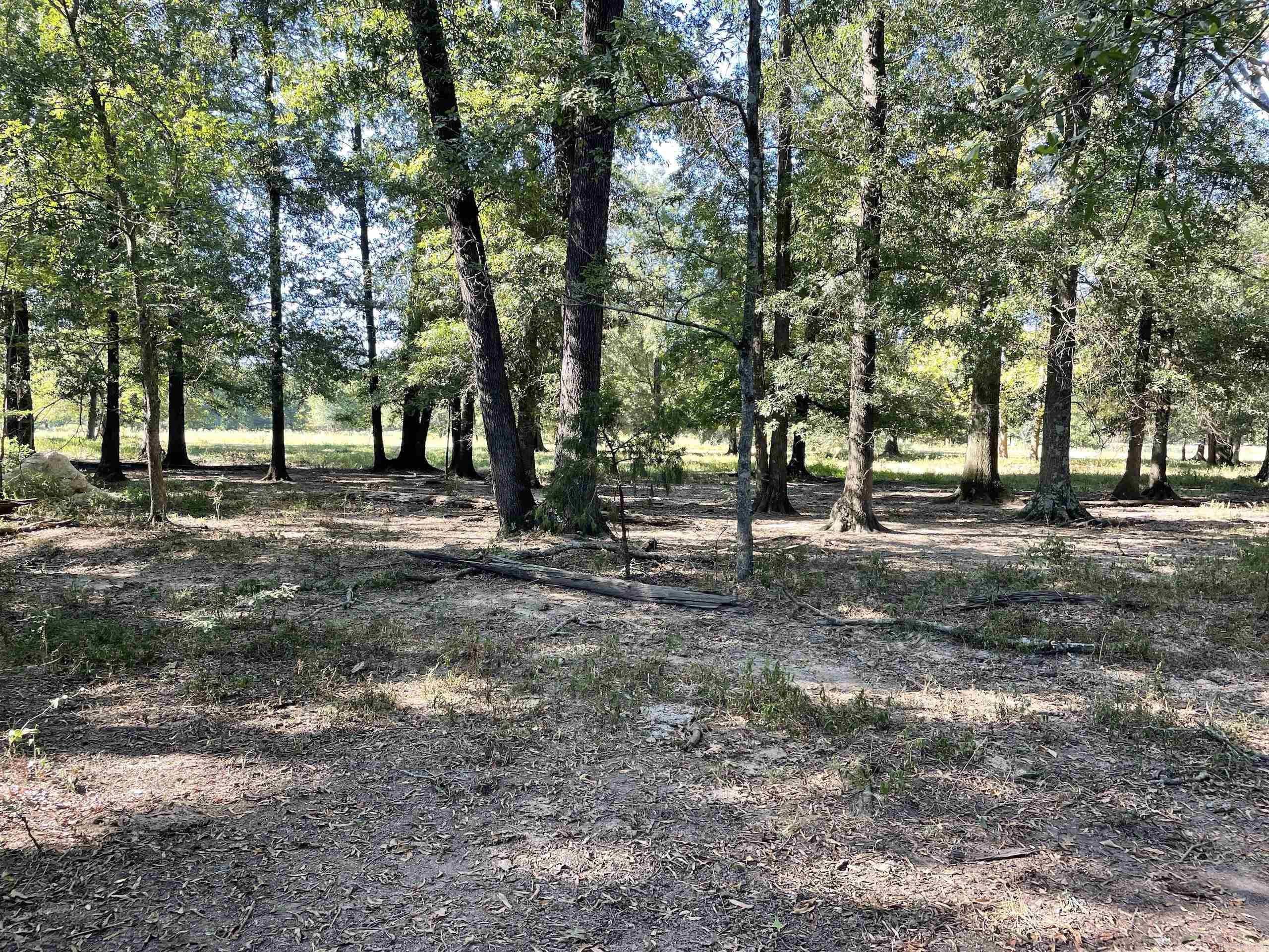 Not in Subdivision - Land