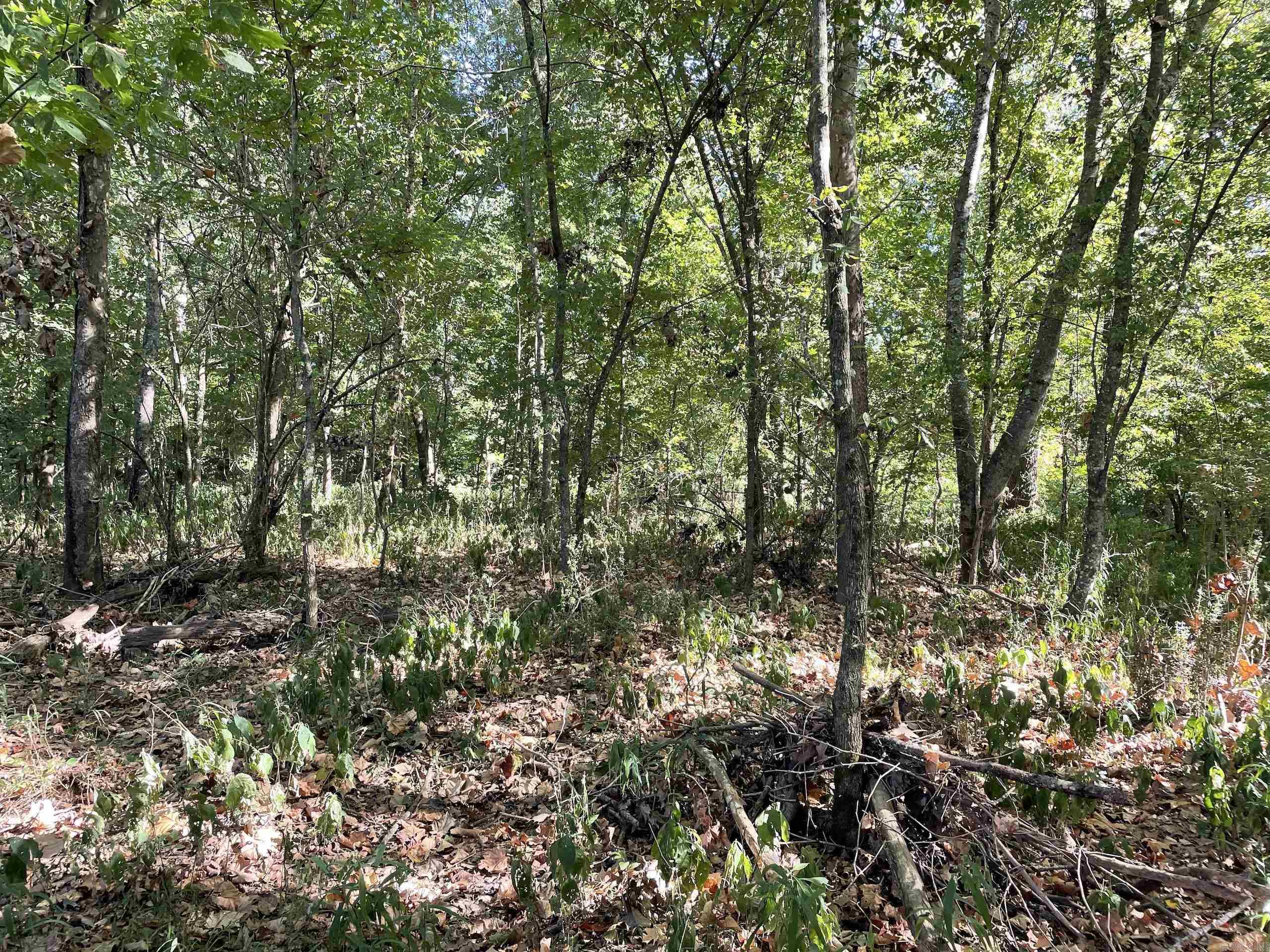 Not in Subdivision - Land