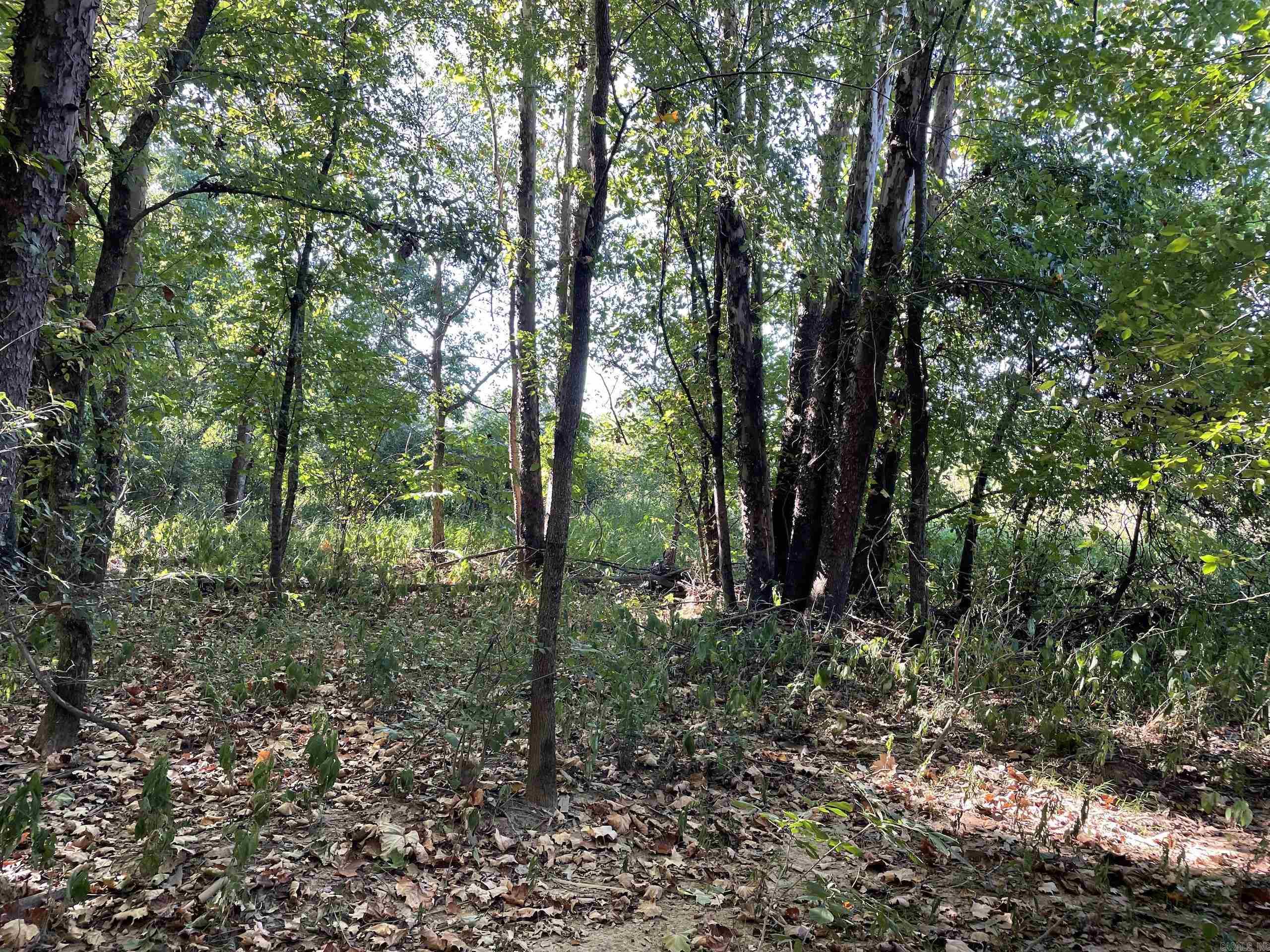 Not in Subdivision - Land