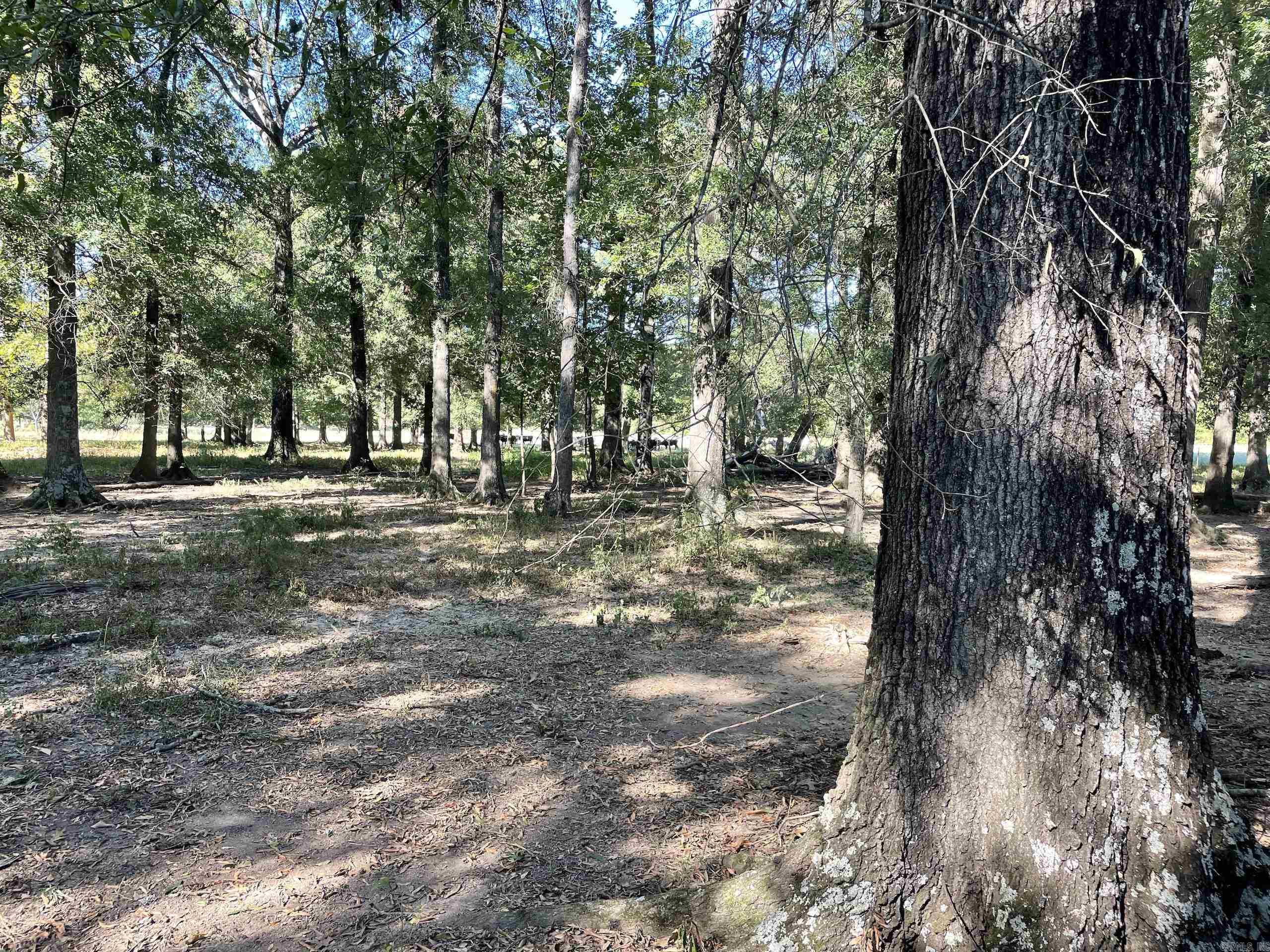 Not in Subdivision - Land