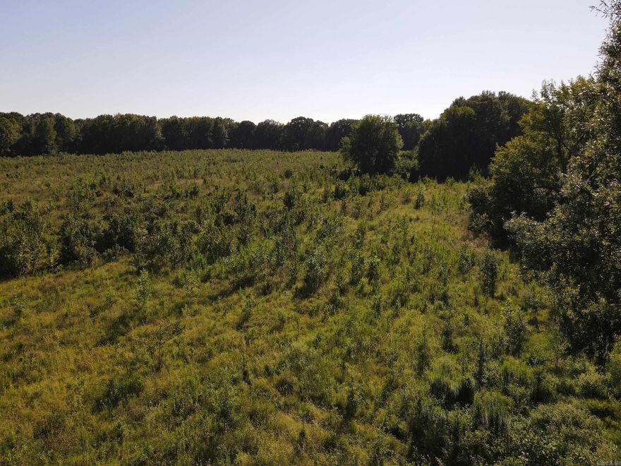 Located just minutes from Petit Jean State Park with 1/4 mile of HWY frontage, this property is ideal for grazing or cutting hay. Big Creek flows along the south boundary and the land occasionally floods.