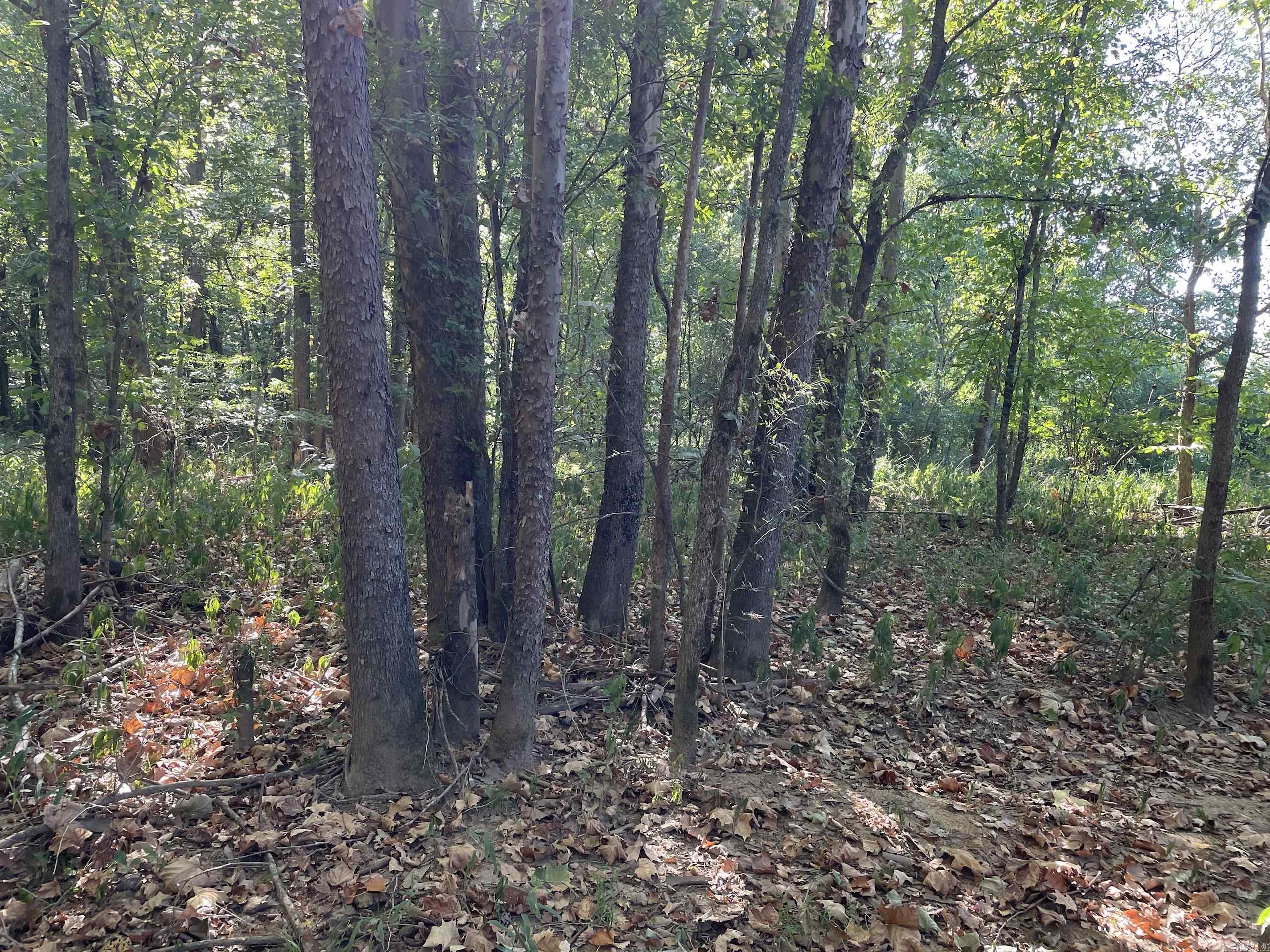 Not in Subdivision - Land