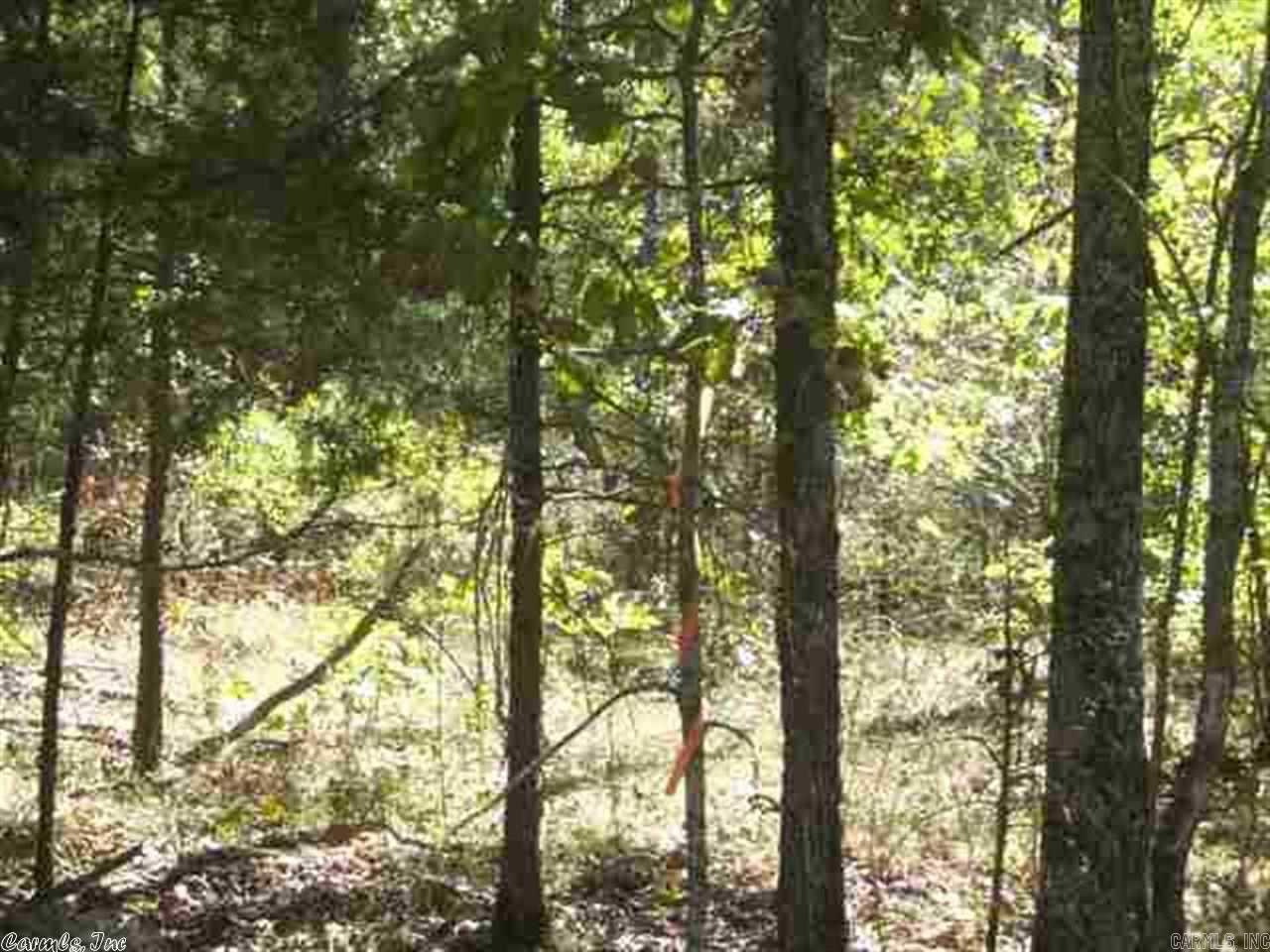 46.65 acre tract for sale on Easy Street. Once you turn on Easy St. land will be on ur R. The land consists of mainly level land with small slopes throughout the property. Taxes to be determined at closing. Deed Will Read: No mobile home, travel trailer, motor home, manufactured home or any other type trailer shall be placed or permitted to remain on property for residential use, either temporarily or permanently.