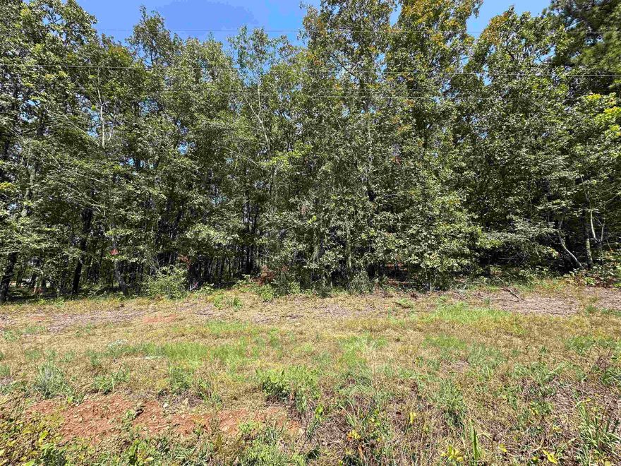 Looking for a place to build your dream home?  Take a look at this large 1 acre lot with utilities conveniently located at the front by the road.  large lots are a rare find in the area and there are two available if you are interested in more privacy or want more acreage.  Call for more details
