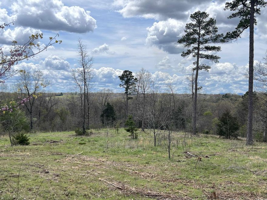Nice View! Come check out this 58.84 acres with a 32'x18' shop building with a concrete floor, no restrictions, some large timber, some pasture, great hunting, electric, water well, phone, seasonal creek, stocked pond, and county road access. This is a must see property.