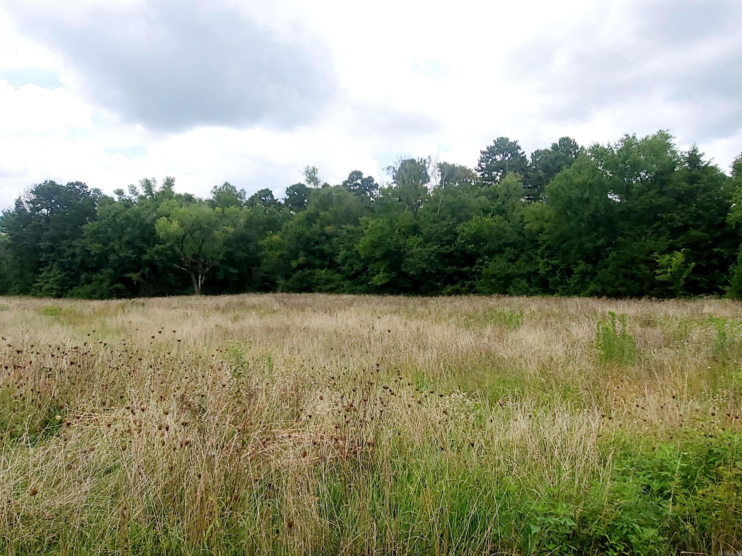 Fantastic location of this commercial lot, with endless possibilities! With over 300 feet of Highway 71 frontage, located near a crucial intersection just inside the city limits of Mena, this is one of the prime spots of commercial land that you can buy. Zoned C-2, with public utilities available, a nice flat spot to build...you can't go wrong with this property. Only minutes from the downtown area, but located on the edge of town. There are only a few commercial land opportunities left in our area - so don't miss out on this!