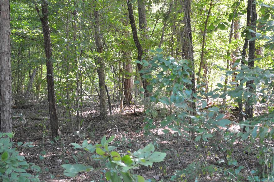 Nice mild down slope lot.