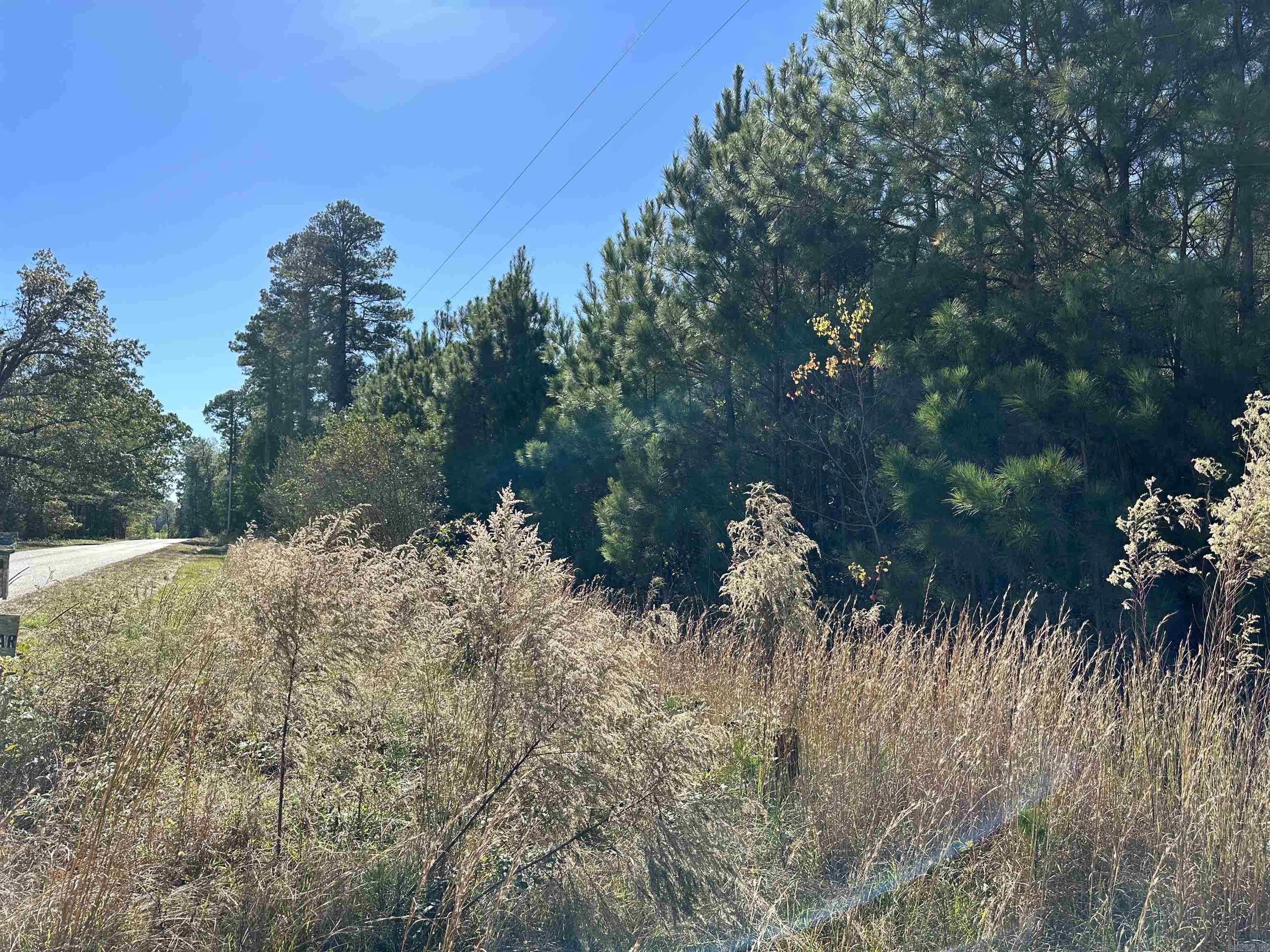The Johnsville South Tract is in the southern part of Bradley County, Arkansas approximately 1 mile south of Johnsville. Access to the property is good from Bradley County Road 56 (Johnsville-Broad Road). There are utilities (electric, rural water, and phone) along County Road 56 that provide service. This is a paved, county-maintained road. This tract is mostly pine of various ages but does have two small ponds with hardwood scattered throughout the tract. Whether you are looking for a place to build your dream home, convert the plantation to pasture and build a farm, keep as a timberland investment, or just looking for a small place to hunt or just ‘get away’, check on the ‘Johnsville South Tract’!
