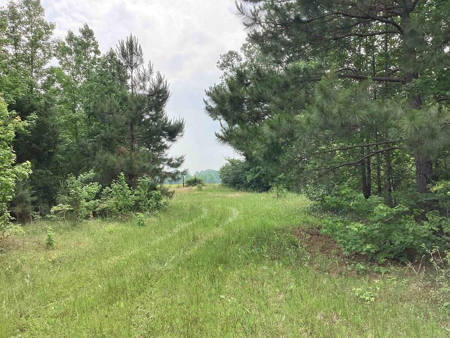 25 acres +/- pasture, 17 acres +/- timber with deer and turkey everywhere, running creek through the side, hunters dream, private but 25 minutes to Prescott. Old house place with a chicken coop and a working well.  If you are looking for a place to build a cabin or house, this is it!!