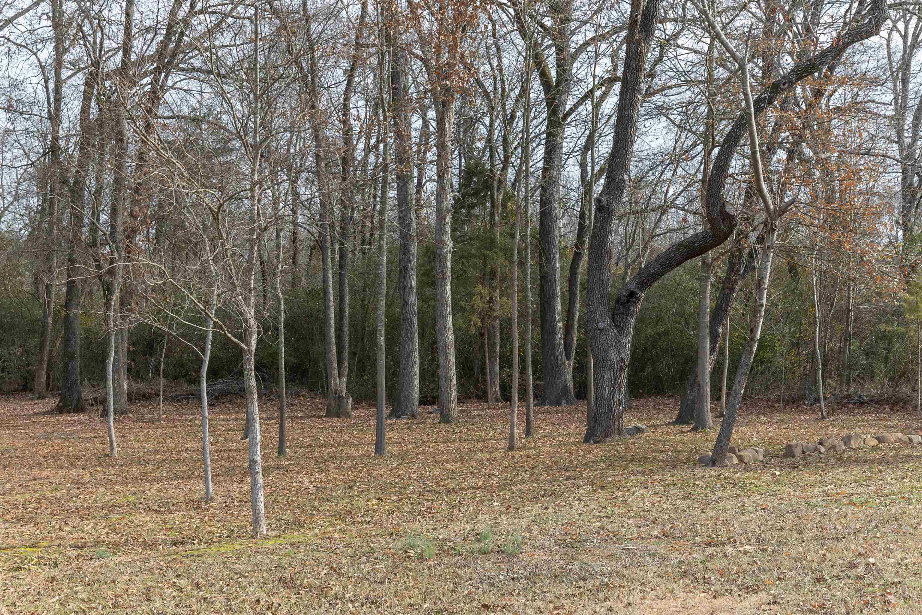ROLLING HILLS - Residential