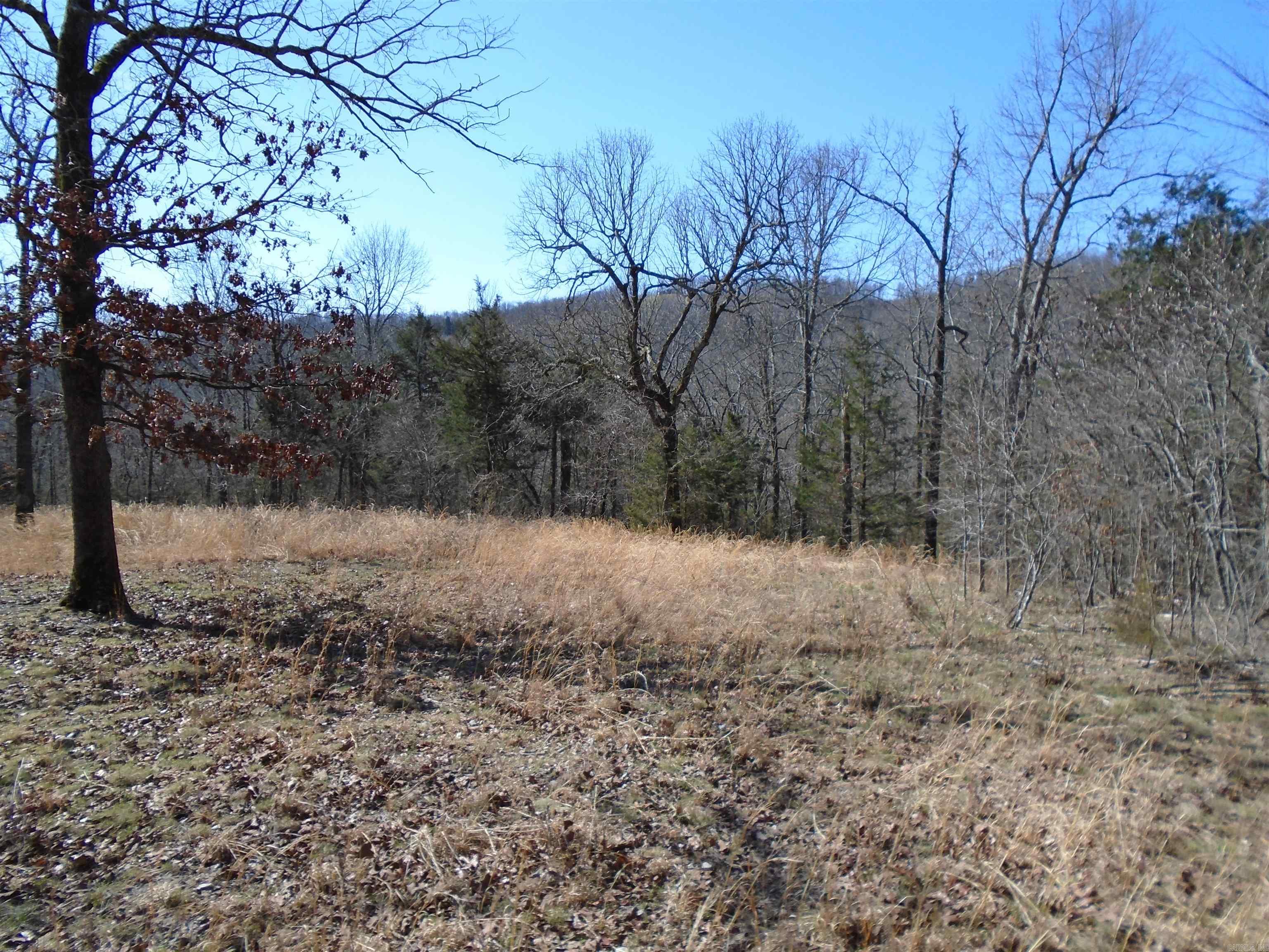 Only 7 miles to the beautiful Bull Shoals Lake is where you will find these 71 acres of prime hunting land. Hunt or just enjoy some quiet time. This property is mostly wooded offering seclusion but still close to paved highway and Peel Recreation area. You will also find a spring fed creek on the property. Come enjoy the Ozarks at its finest.