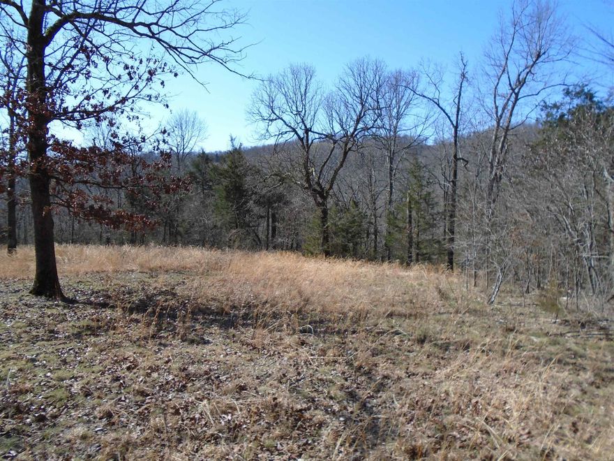 Only 7 miles to the beautiful Bull Shoals Lake is where you will find these 71 acres of prime hunting land.  Hunt or just enjoy some quiet time.  This property is mostly wooded offering seclusion but still close to paved highway and Peel Recreation area.  You will also find a spring fed creek on the property.  Come enjoy the Ozarks at its finest.