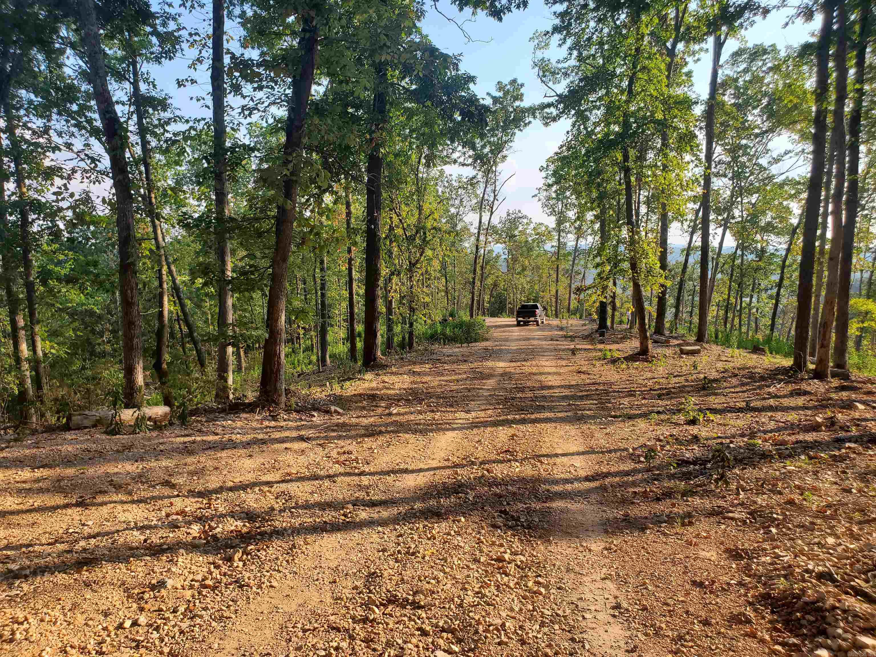 Exceptional hunting property or build an off grid cabin. National forest land less than 1/2 mile away. A road has been put in to the top for a camp area. Potential for amazing views. Minutes from Blanchard Springs Cavers and the White River.