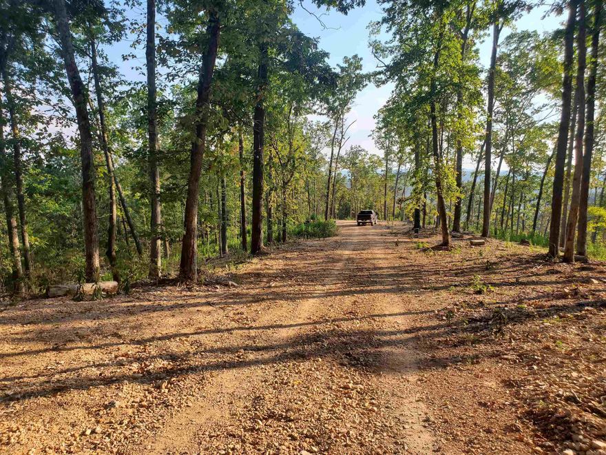 Exceptional hunting property or build an off grid cabin. National forest land less than 1/2 mile away. A road has been put in to the top for a camp area. Potential for amazing views. Minutes from Blanchard Springs Cavers and the White River.