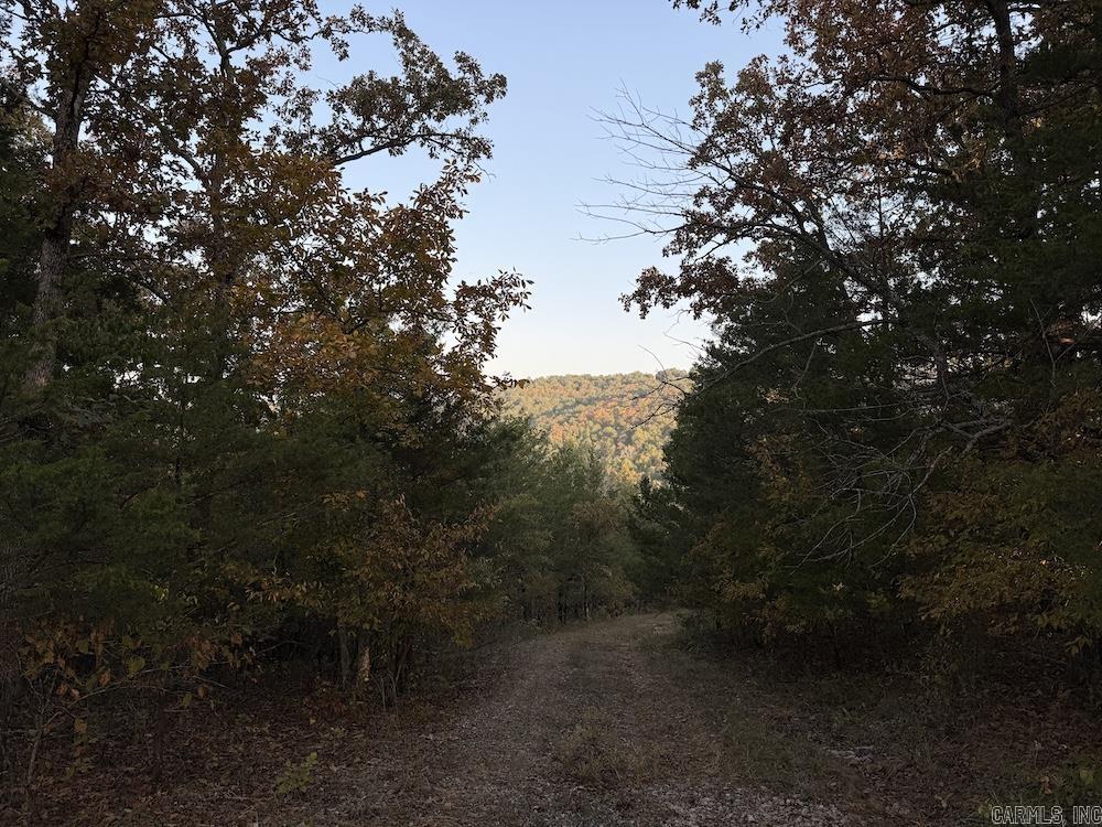 Not in Subdivision - Land