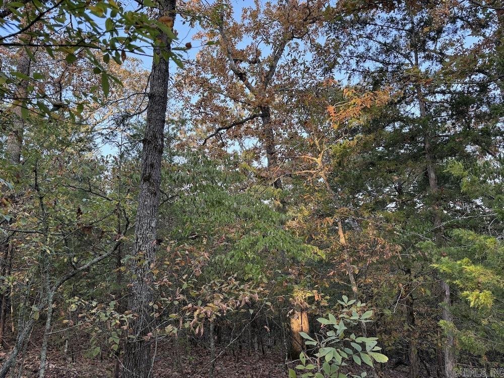 Not in Subdivision - Land