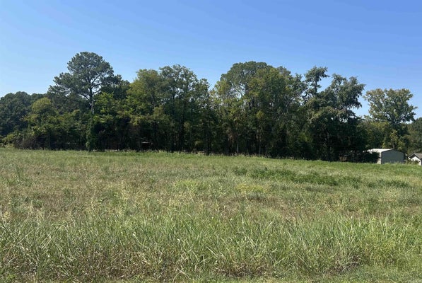 LOU MAR RD, MORRILTON, AR 72110 - Image 62356ae5d417e5364bb9f60db59a9067/407022870
