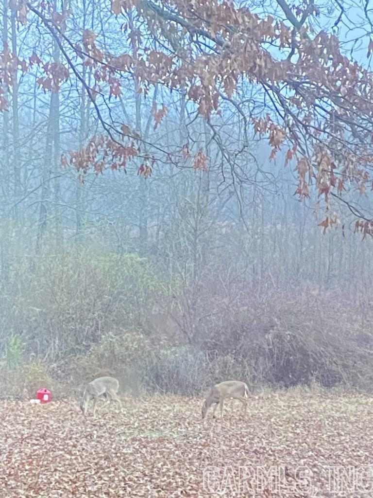 Fawndale - Residential