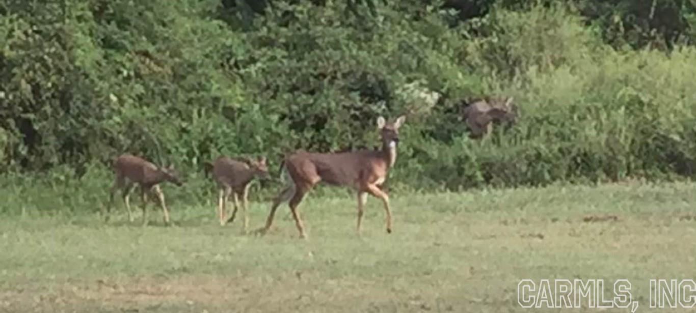 Fawndale - Residential