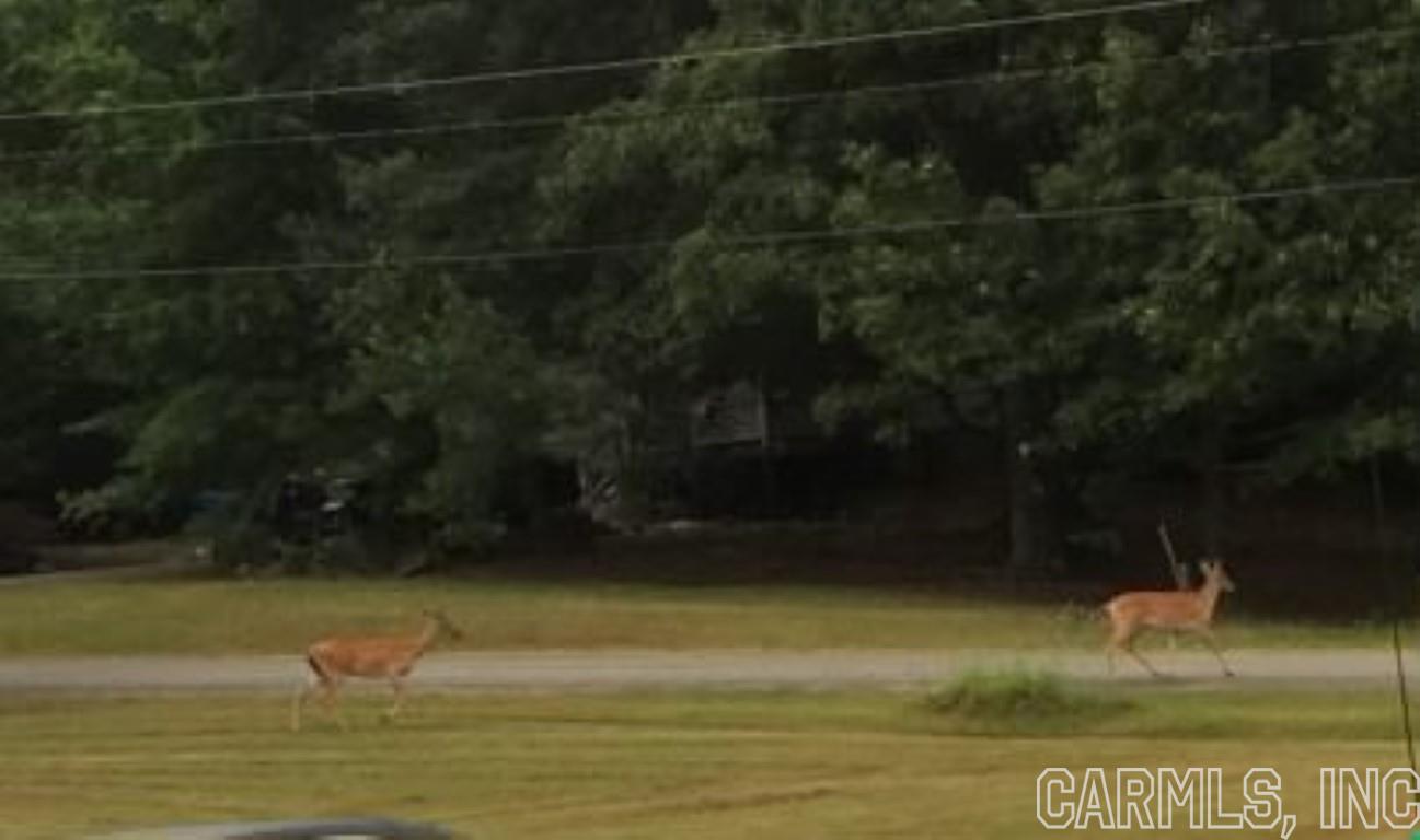 Fawndale - Residential