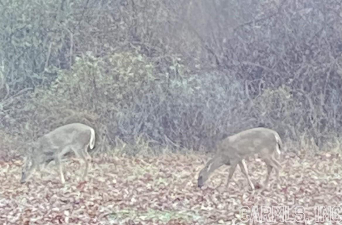 Fawndale - Residential