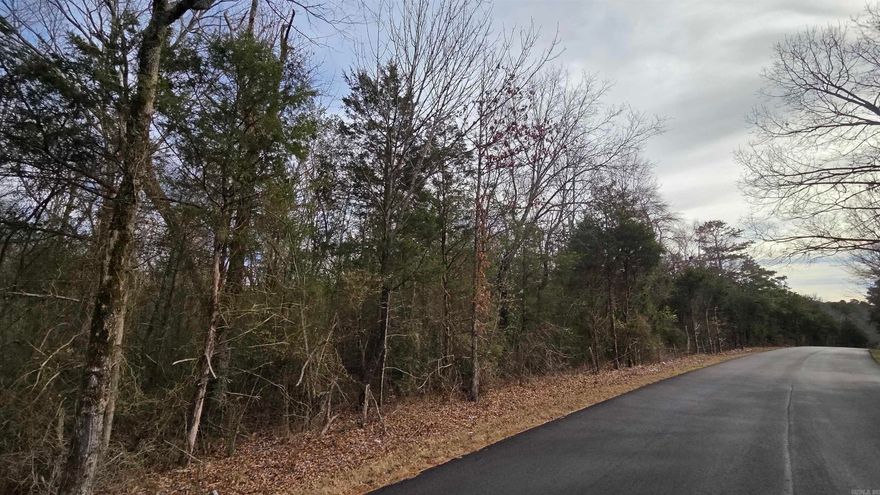 Welcome to market this great investment property, with a great offer this seller may negotiate mineral rights to convey to a new owner!  Huge deal for most buyers in this area for mineral rights.  and its approx. 20 acres with access from Highway 92 and access from Fox Chase! Enjoy an already existing access from Hwy 92 to your new development or a more direct access from Fox Chase. This property also has a Dollar General and a storage buildings near by, this could be a great come for a new commercial investment or use the tree line for a buffer for your residential  builds or buy the land & enjoy mineral rights if an offer is accepted for those to be included!  Call today for your personal tour of these approx. 20 acres.