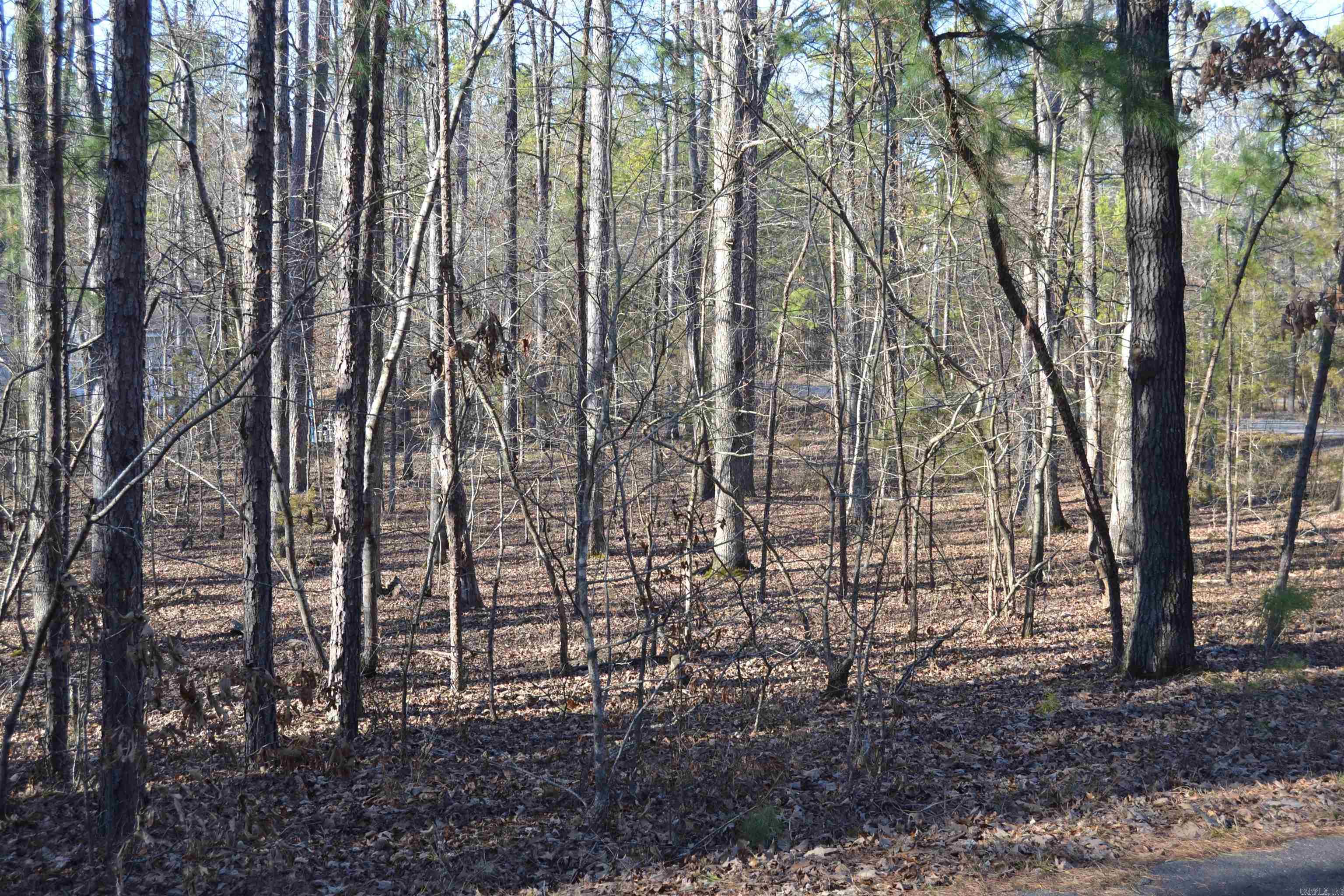 Check out this buildable flat corner lot very close to Lake Balboa in the middle of Hot Springs Village. Make this lot yours to build on to begin enjoying all that Hot Springs Village has to offer. Hot Springs Village is the nation's largest gated community. Hot Springs Village offers 8 championship golf courses and 1 executive golf course. New buyers to Hot Springs Village have a $250.00 buy in fee collected at closing.