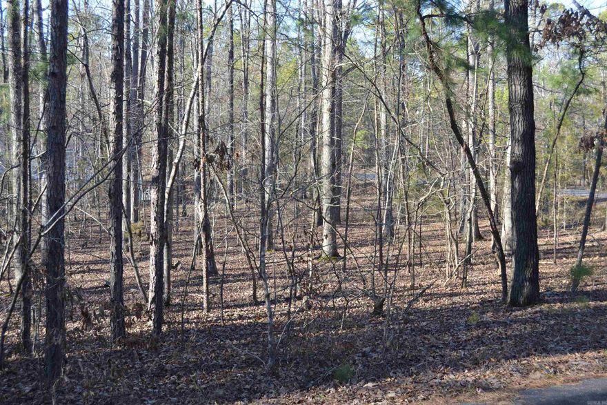 Check out this buildable flat corner lot very close to Lake Balboa in the middle of Hot Springs Village. Make this lot yours to build on to begin enjoying all that Hot Springs Village has to offer. Hot Springs Village is the nation's largest gated community. Hot Springs Village offers 8 championship golf courses and 1 executive golf course. New buyers to Hot Springs Village have a $250.00 buy in fee collected at closing.