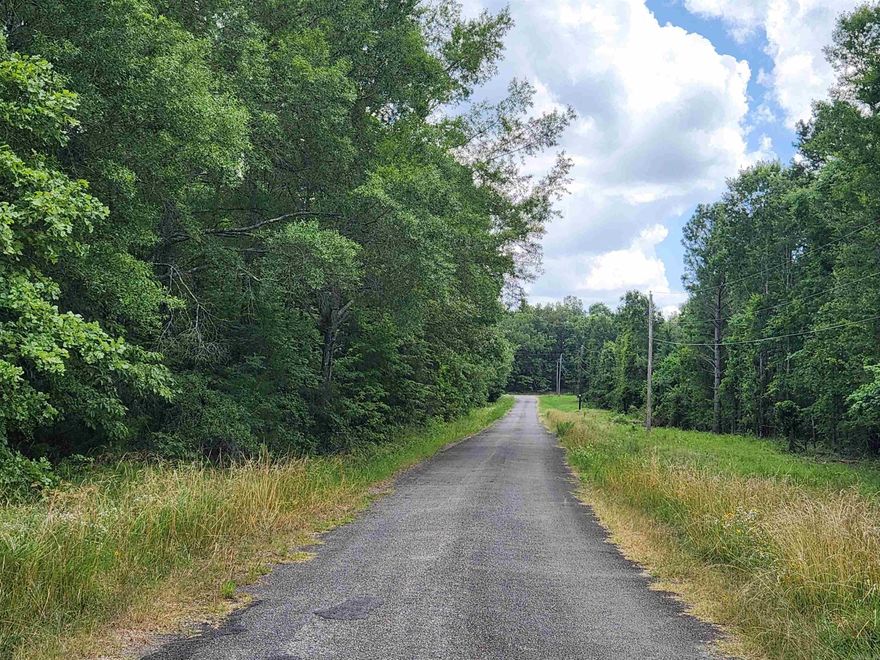 Beautiful level lot just waiting on a new family to build their dream home or bring in you new modular! This wooded lot is located on a dead end street offering a peaceful setting. 4 lots available at this price per each.