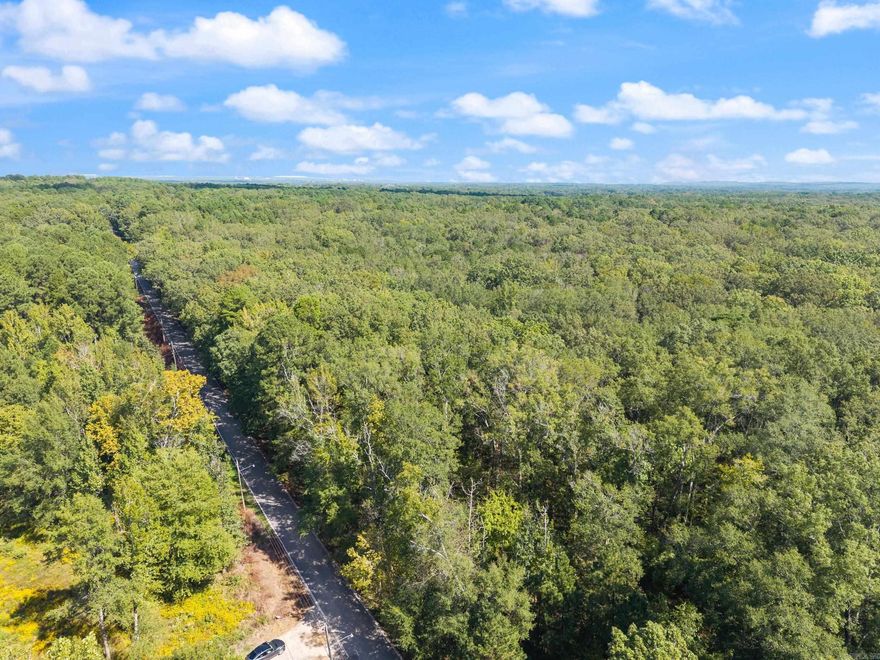 Discover a remarkable investment opportunity with this expansive 40-acre parcel located in Pulaski County, Arkansas. This prime piece of real estate is conveniently situated within city limits, featuring available sewer and water services at each road on two sides, making it an ideal site for development. The property features hardwood timber, with a Timber Cruise report currently on order to assess its value and potential. With road frontage on both Heinke Road and Taliaferro Street, it offers easy access and is part of the respected Little Rock School District. Moreover, the property is just 5 minutes from popular attractions such as Bass Pro Shops, Top Golf, and Gateway Town Center, enhancing its accessibility and appeal, and only 10 minutes from the conveniences of West Little Rock. The Heinke Road property is poised for various development opportunities, including a residential subdivision focused on affordable housing for sale, new construction rentals, multi-family units such as duplexes, triplexes, and quadplexes, as well as mixed-use developments combining rental units with affordable housing options for sale.  GPS Link: https://maps.app.goo.gl/q1tP3YLvVJcsfVqQA