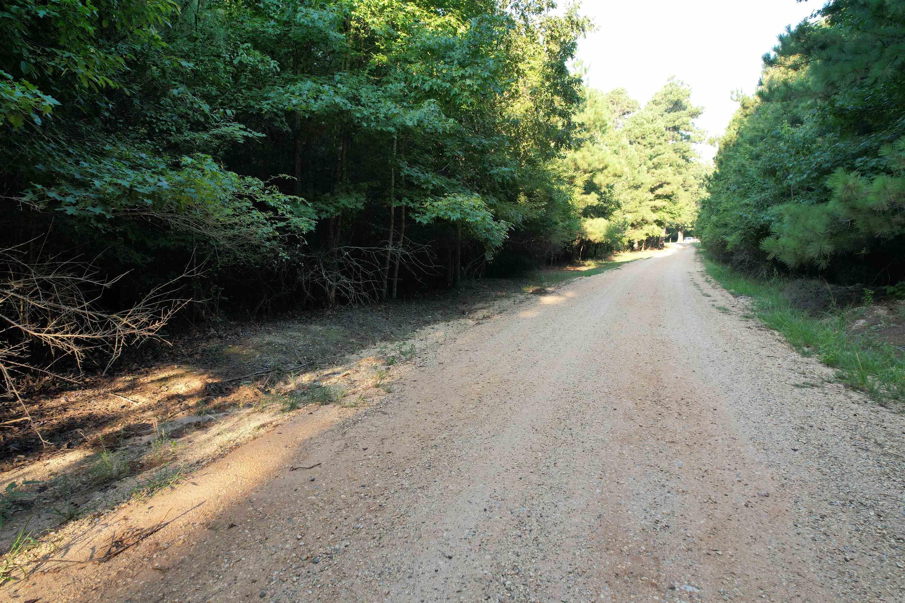 The Bradley Road 130 Tract is located in Bradley County, Arkansas less than a mile south of Banks. Access to the property great from Bradley Road 130, a county-maintained gravel road. There are rural utilities along the county road. About 36 acres is planted loblolly pine established in 2012. The remaining acreage is mixed hardwood pine associated with a small creek. This tract provides abundant opportunities from a great timberland investment, an ideal place to hunt, and excellent place to build a house. Don’t miss out!