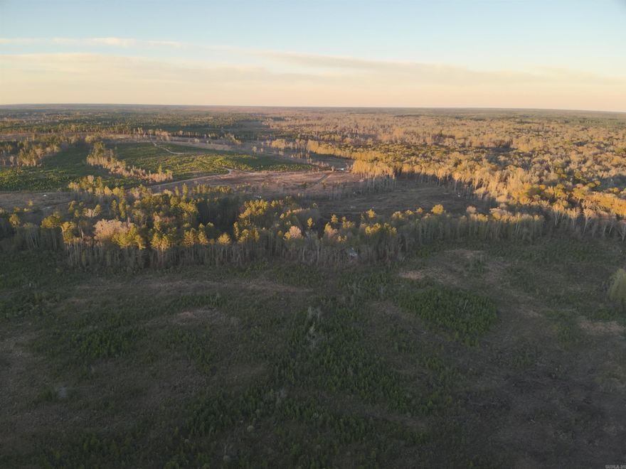 The Jacks Creek Tract is in Calhoun County, Arkansas about 2 miles east of Harrell, about 3 miles west of Banks, and about 6 miles east of Hampton.  The Jacks Creek Tract has over 1 mile of US HWY 278 frontage.  There is also access to the property from Calhoun County Road 38 with over 0.5 miles of paved road along the west boundary. There are typical rural utilities along these roads (electric, rural water, etc.). There are also over three miles of improved roads that bisect the property. The main access road is gated for secure access (please contract us for access through this gate).  About 540 acres is planted loblolly pine between 1-5 years old. About 160 acres is natural pine & hardwood mixed stands, and the remaining acreage are hardwood bottoms associated with Jacks Creek and Moro Creek. This tract is a sportsman dream and a great timber investment with a variety of habitats from mature hardwood forest, mature and young pine forest, and investment grade planted loblolly pine!
