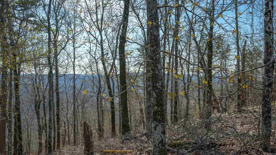 GORGEOUS MOUNTAIN VIEWS! BACKS UP TO DEPT OF AGRICULTURE LAND. WILDLIFE GALORE! 3 GREAT BUILDING SPOTS.  NO RESTRICTIONS. WOULD MAKE A GREAT SPOT FOR SEVERAL AIRBNB CABINS OR YOUR DREAM HOME!! PRIVATE SETTING, BUT JUST MINUTES FROM DOWNTOWN HOT SPRINGS, GOLF, HOT BATHS, AND OAKLAWN RACING/CASINO! AGENTS READ REMARKS