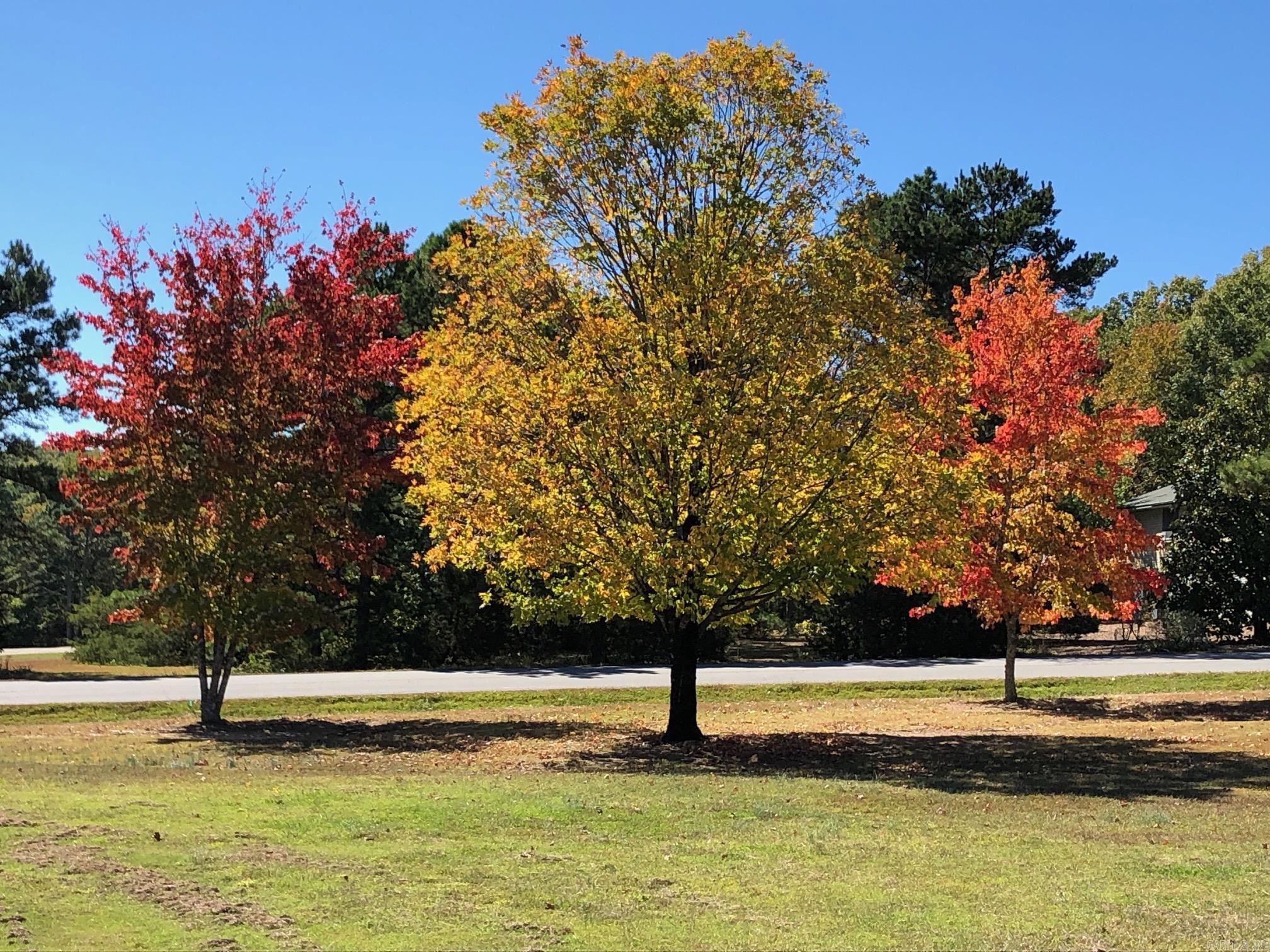 INDIAN HILLS - Residential