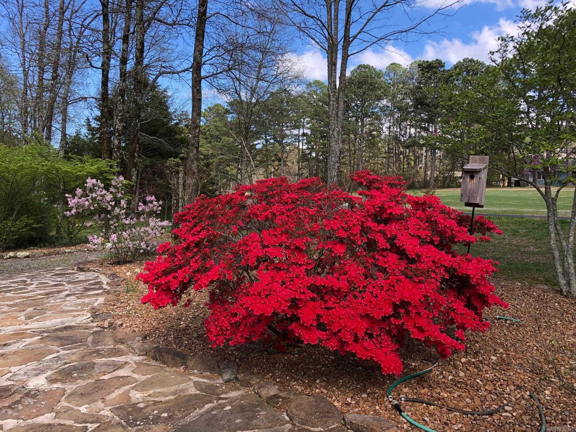 INDIAN HILLS - Residential