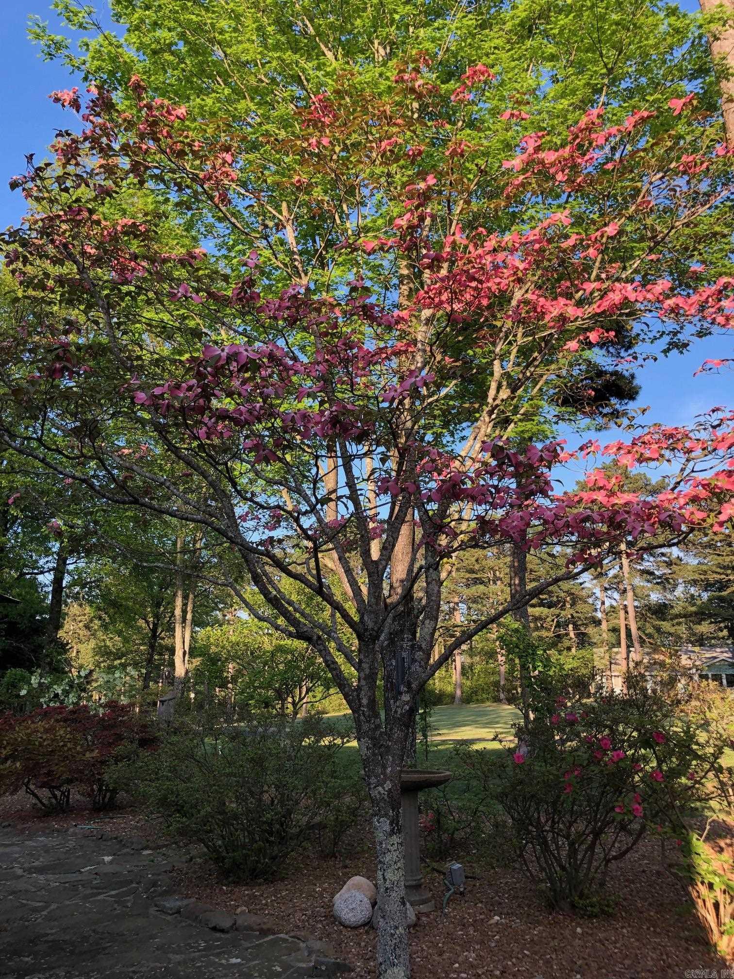 INDIAN HILLS - Residential