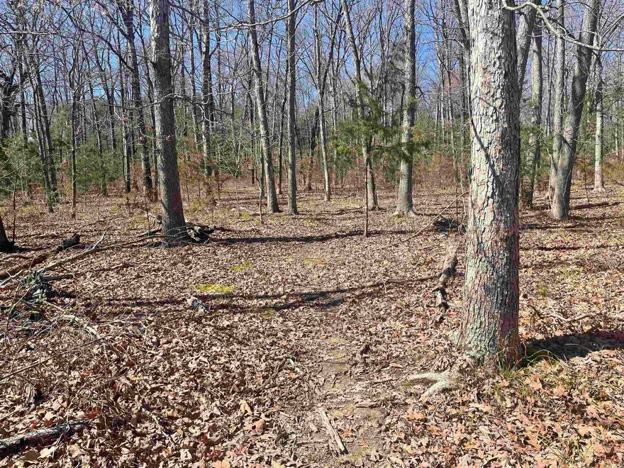 Have you been looking for the perfect piece of hunting property or just something to get away to where you hear no vehicles, have no restrictions, and have endless possibilities?  If so, this might be the land for you!  With this property, the seller has already partially cleared some, which would make it great to build a cabin, or maybe you would want to park a camper for a weekend getaway. You have access to power and water on Flat Rock Road if you choose to go that direction and bring it into the property. This property has so much to do, including several hiking trails, making it ideal for outdoor enthusiasts. Whether you dream of building your dream home or seeking a hunting retreat, this property has everything. There is also a wet weather creek running through the land, and keep an eye out for local wildlife, including deer, turkey, and even the occasional small bear. Don't miss this fantastic opportunity to own your Arkansas wilderness piece! Come join us in the Ozarks!