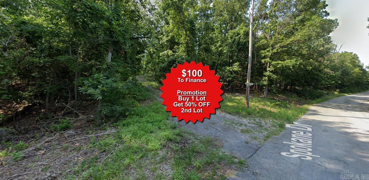Buy one lot and get 50% off an additional lot! Owner-finance for easy terms. Cash buyers can pay by debit or credit card as well. Nice lot to develop or hold for future value. Public water and electric are available to run to property and will need septic. Owner/agent. No mobiles allowed. 1000 minimum build size on any other type of home, depending on subdivision. Finance is $100 down and 10 months at $99 and closing costs are included. Lots marked with red banner are part of promotion. No limit on lots. Buyer responsible for any/all taxes and lots sold "as-is". Quit claim deed conveys. Parcel ID# 350-19662-000