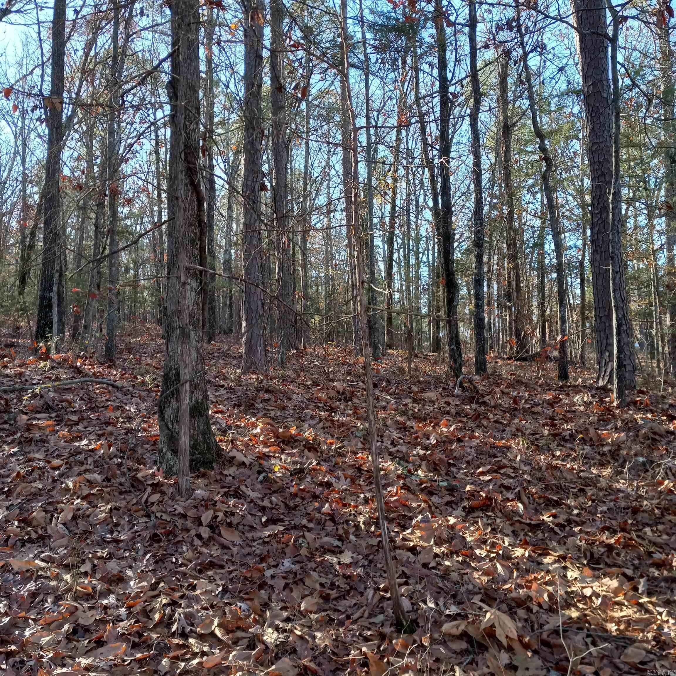 Mill Creek Estates - Land