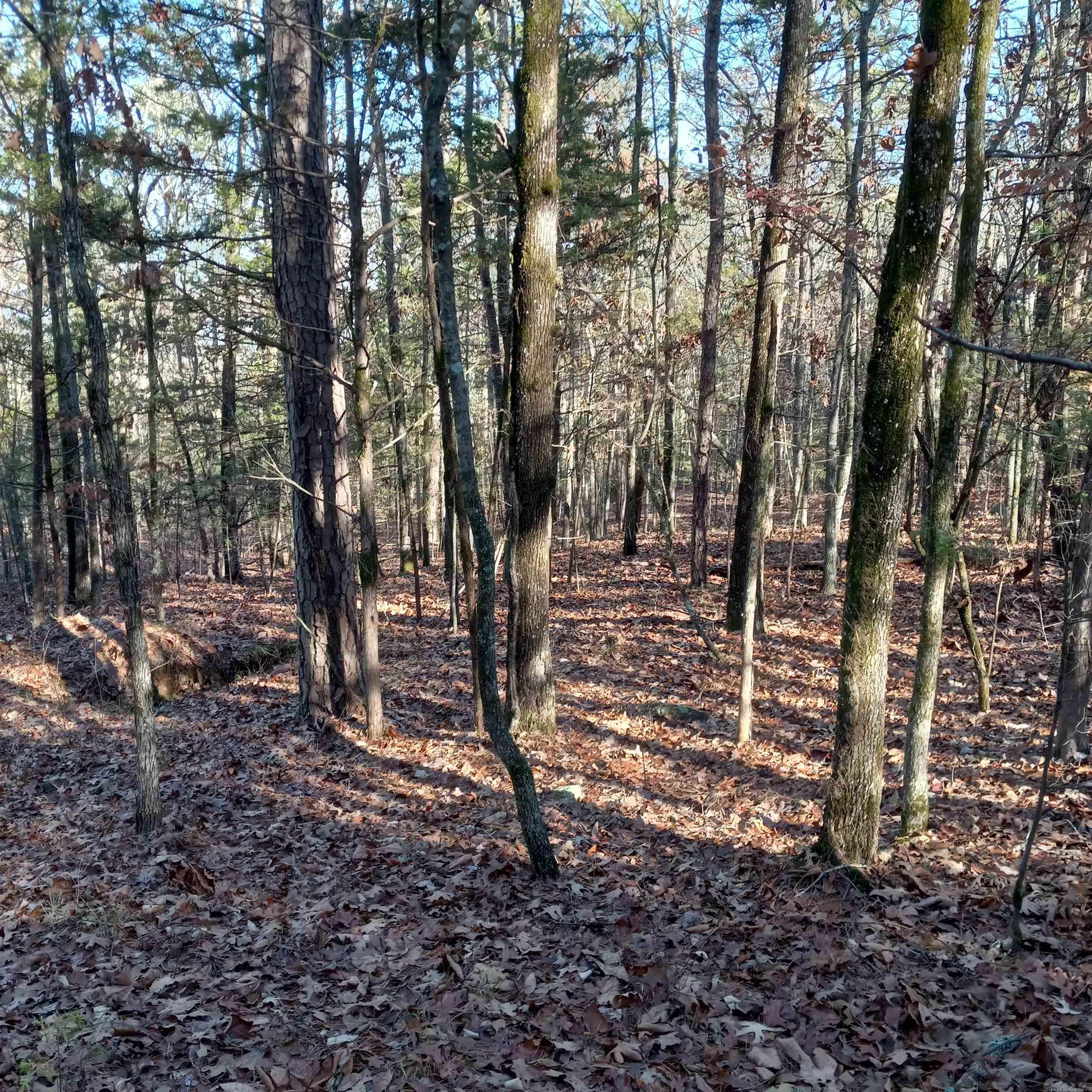 Mill Creek Estates - Land