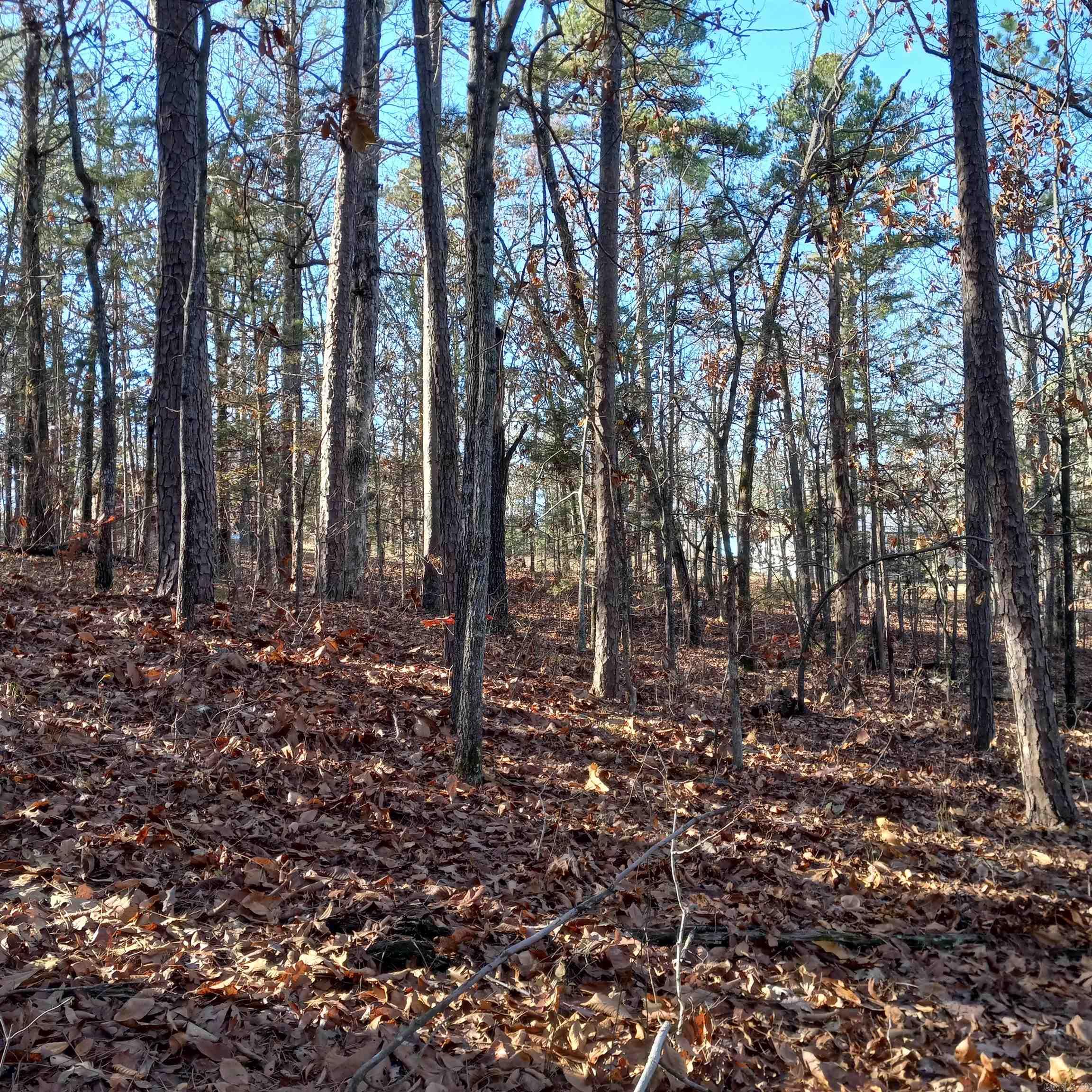 Mill Creek Estates - Land