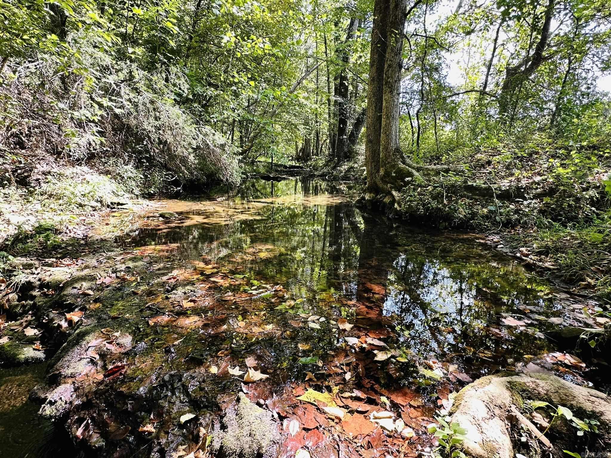 Metes & Bounds - Farm