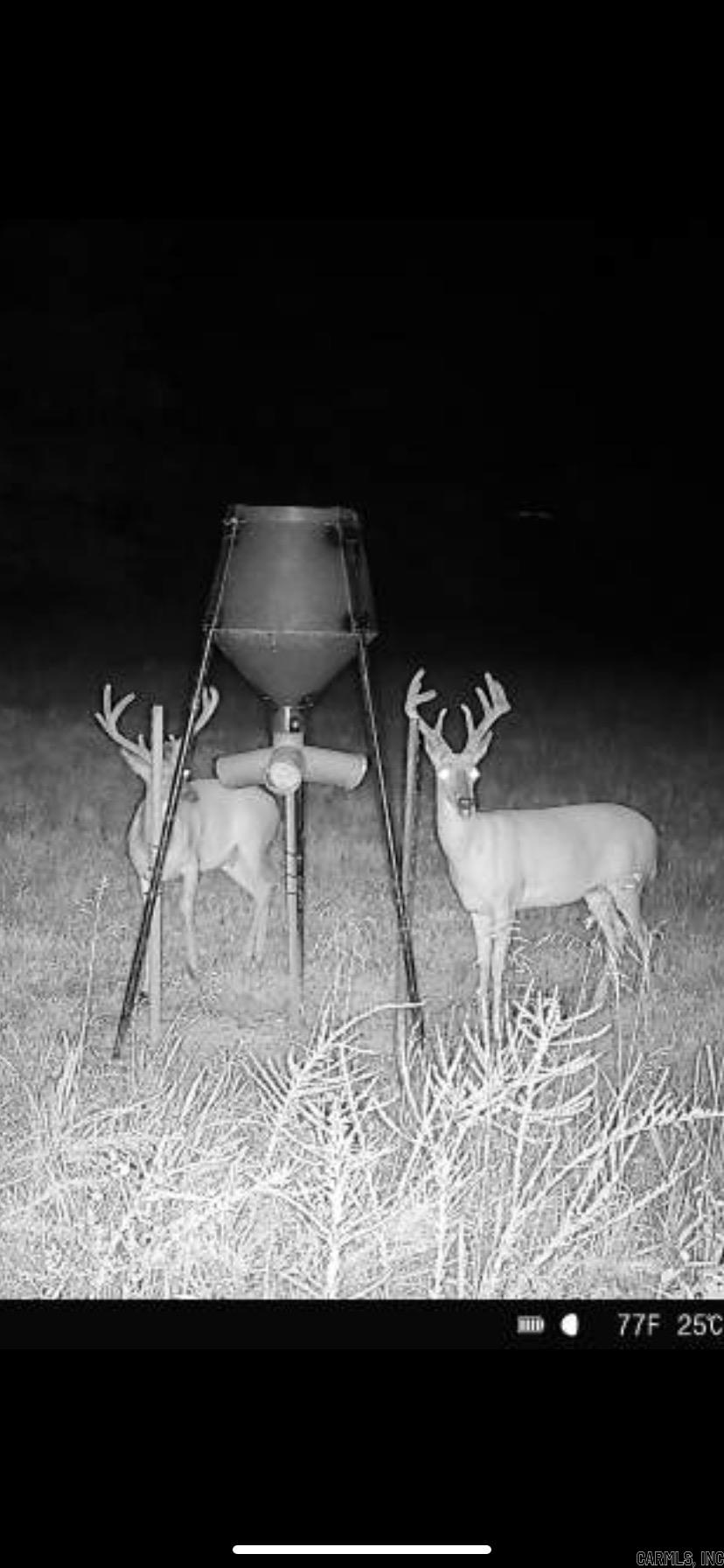 Metes & Bounds - Farm