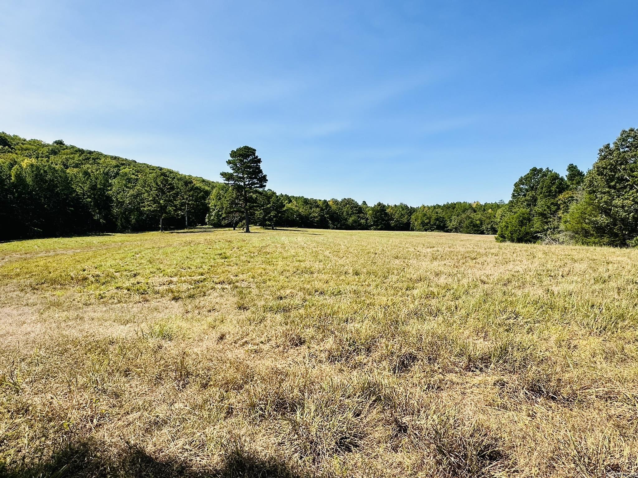 Metes & Bounds - Farm