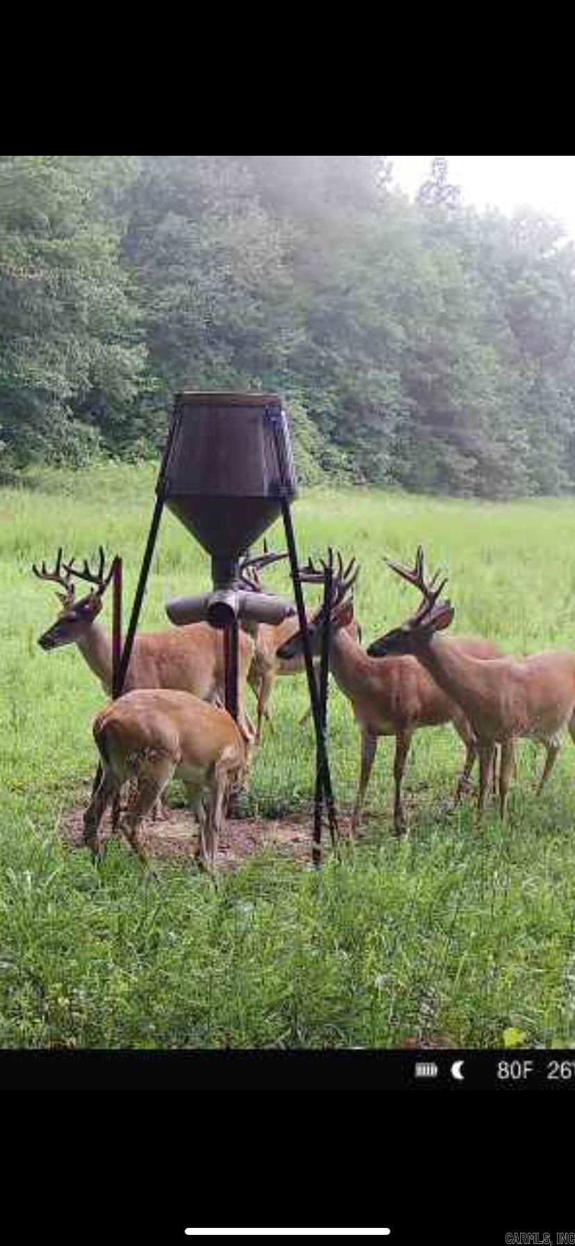 Metes & Bounds - Farm