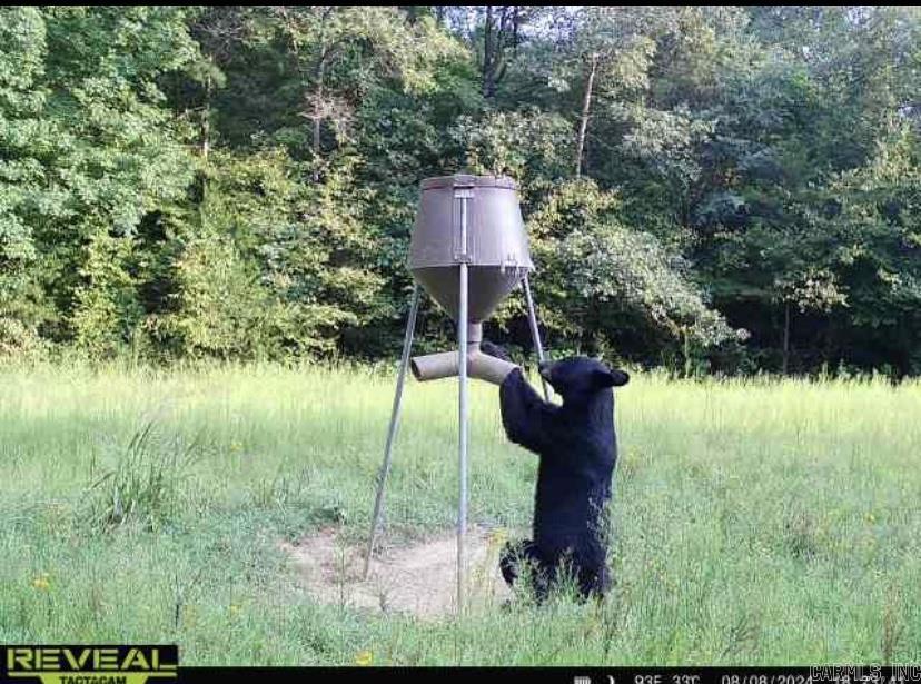 Metes & Bounds - Farm