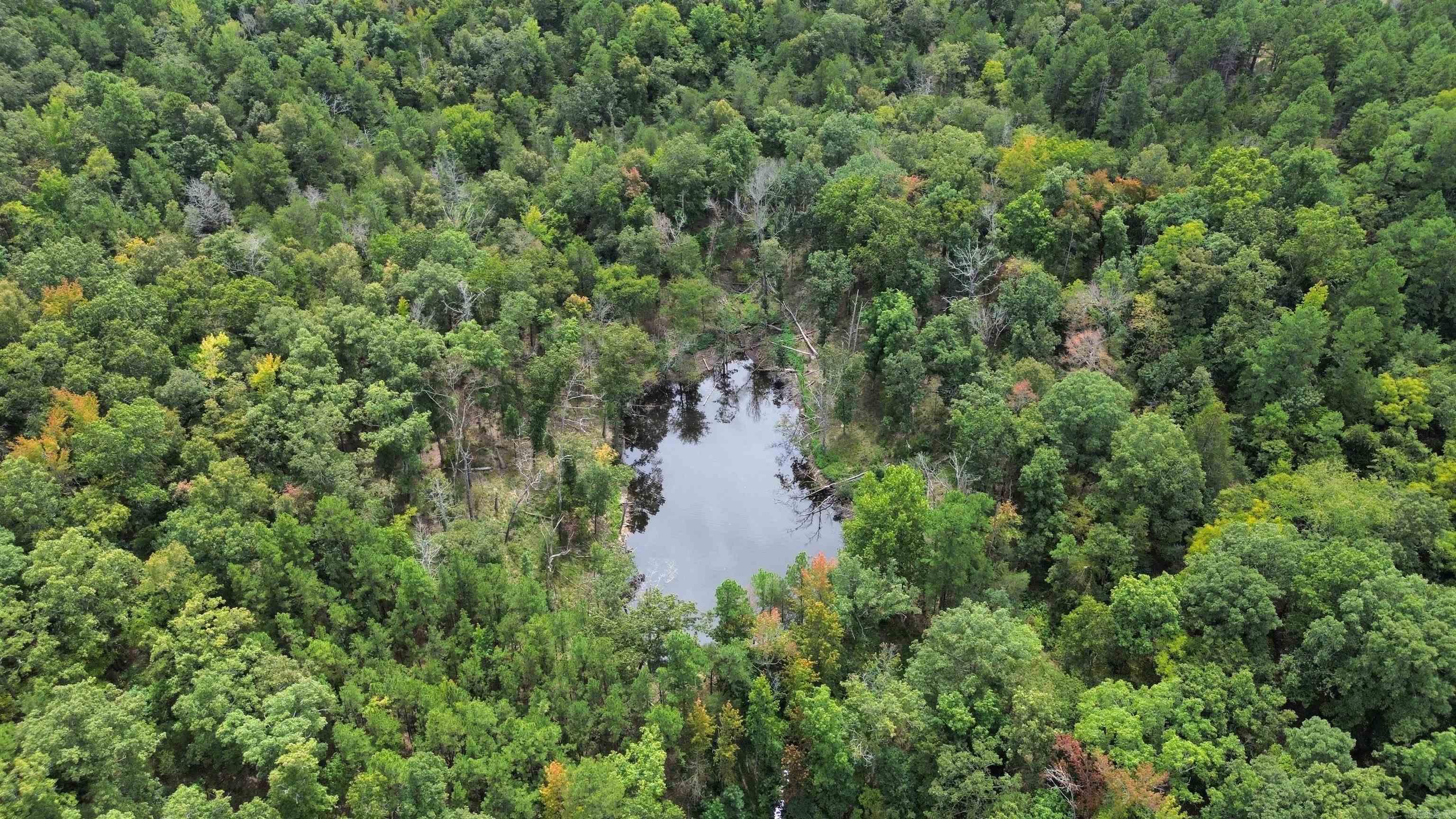 Metes & Bounds - Farm