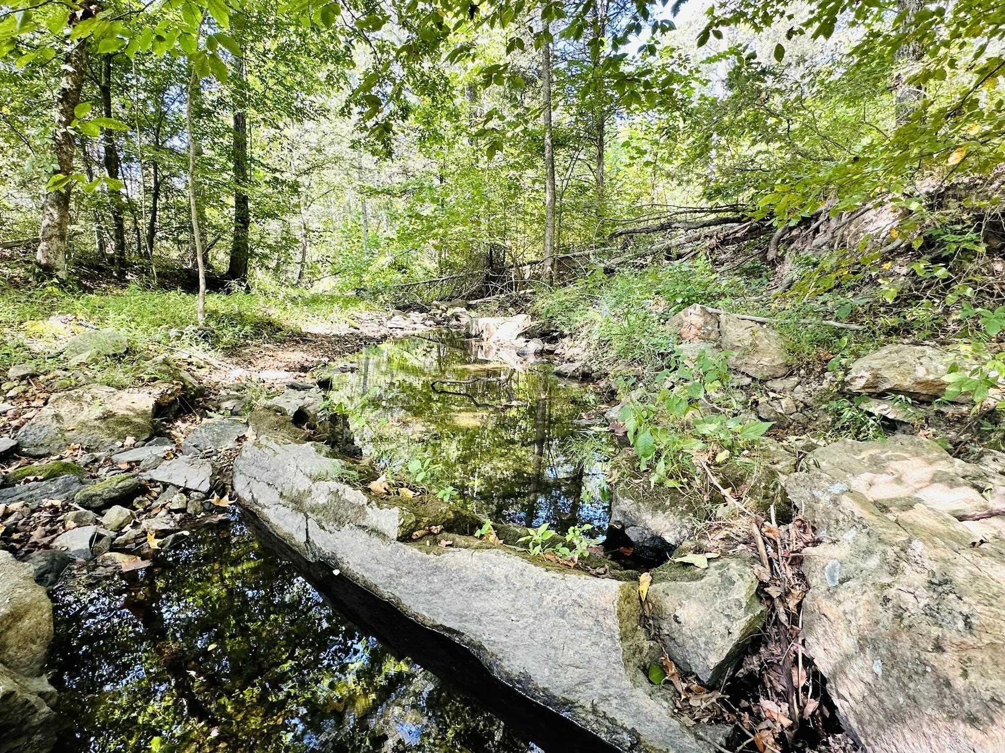 Metes & Bounds - Farm