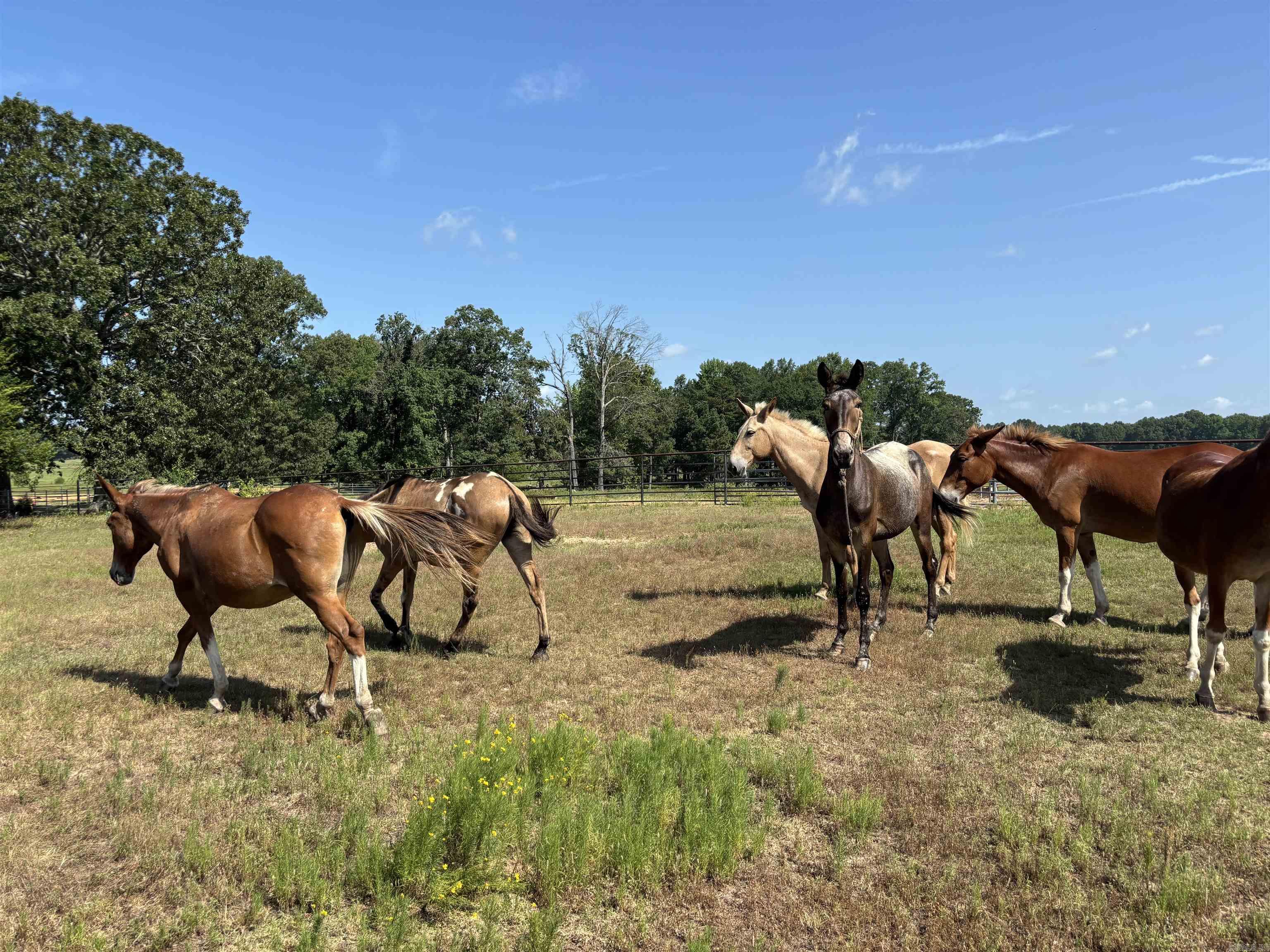 Metes & Bounds - Land