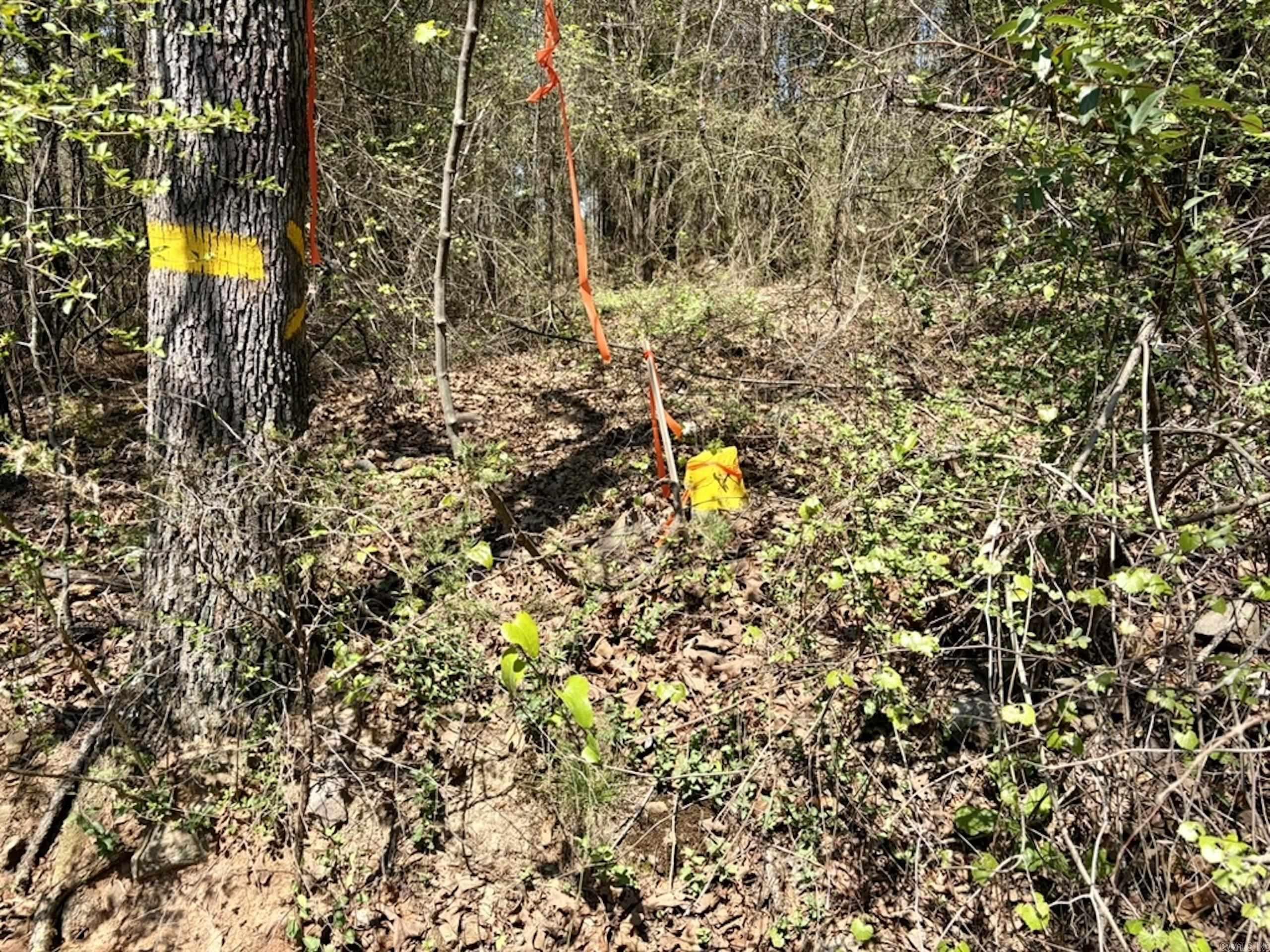 Not in Subdivision - Land